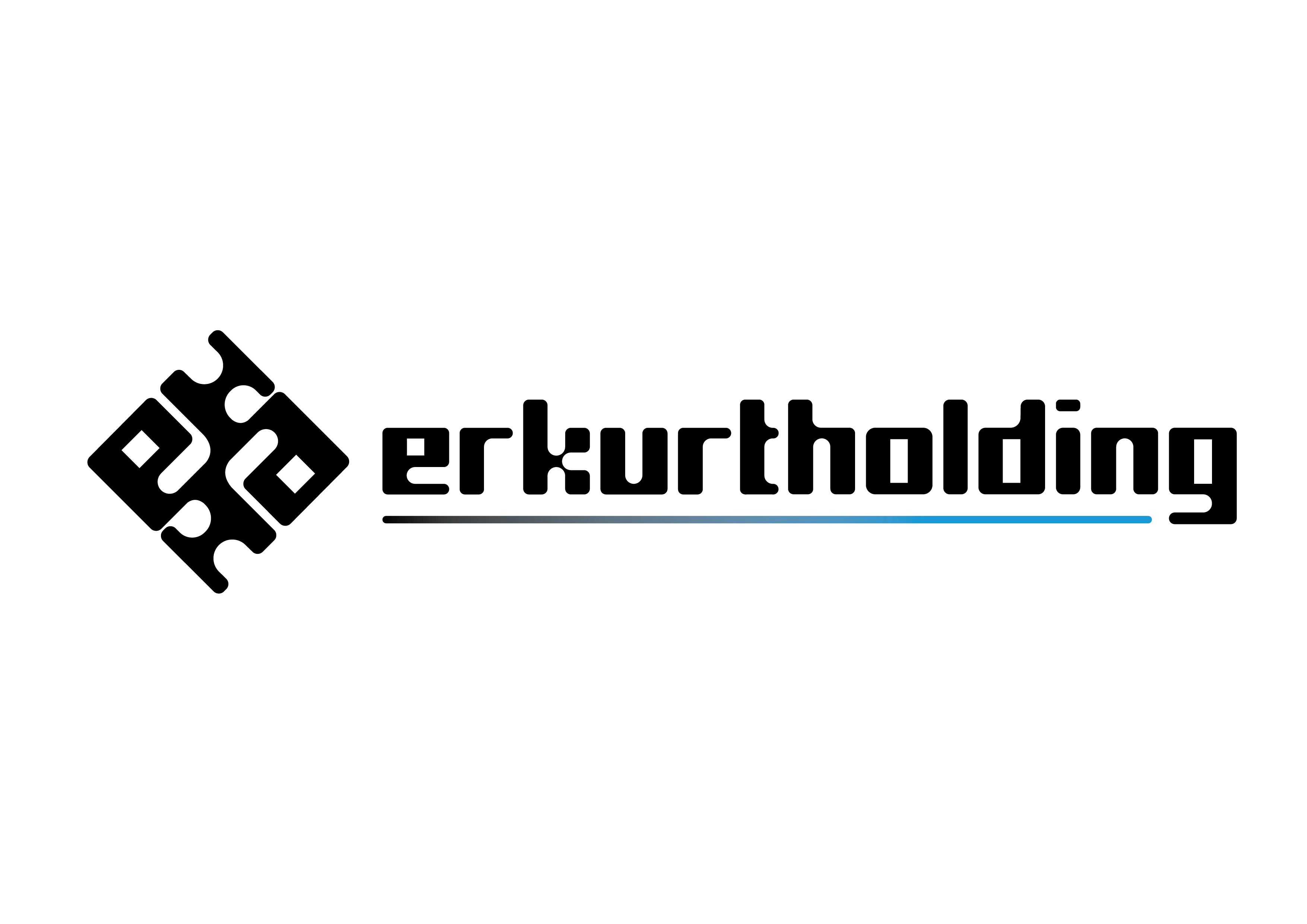 Erkurt Holding